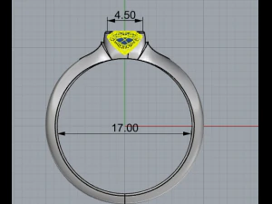 ring 1 3D Print Model