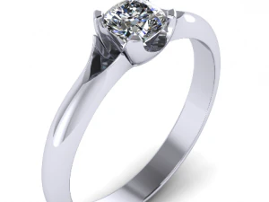 ring 1 3D Print Model