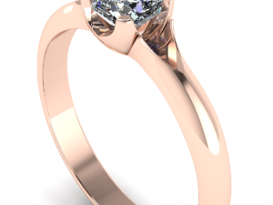 ring 1 3D Принт Модель