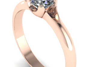 ring 1 3D Print Model