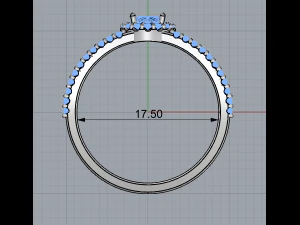 ring 12 3D Print Model