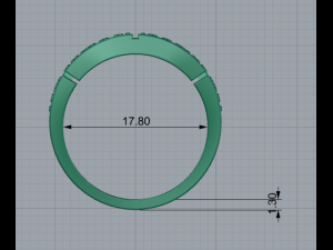Ring For Women jewelery 3d print model Modèles 3D en vedette