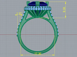 18 Ring 3D Print Model