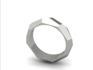Ring 3D 打印模型