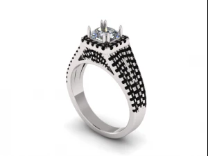 24 Ring 3D Print Model