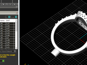 28 Female ring 3D Druckmodell