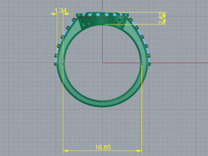 28 Female ring 3D Druckmodell