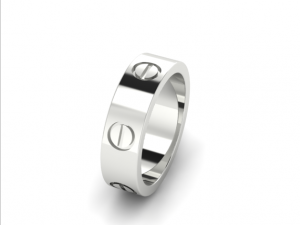 43 Ring 3D Print Model