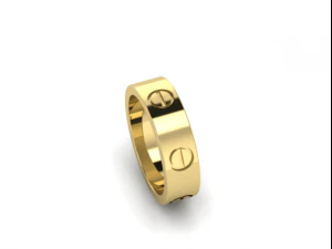 43 Ring 3D Print Model