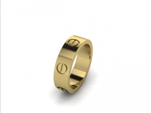 43 Ring 3D Print Model