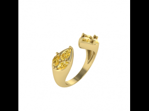 47 Female ring 3D 프린트 모델