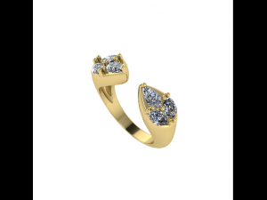 47 Female ring 3D 프린트 모델