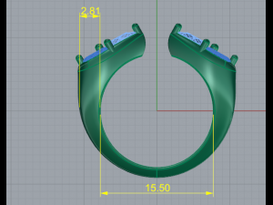 47 Female ring 3D 프린트 모델
