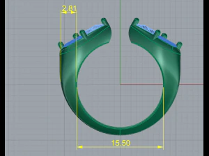 47 Female ring 3D Print Model