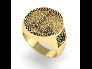 48 Ring 3D Print Model