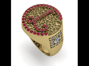 48 Ring 3D Print Model