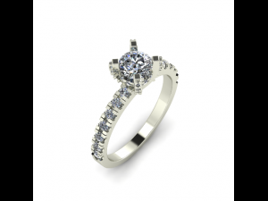 55 Female ring 3D 프린트 모델