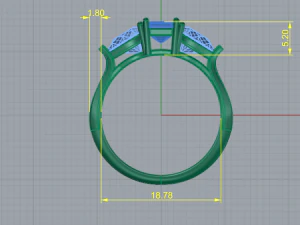 61 Female ring 3D Print Model