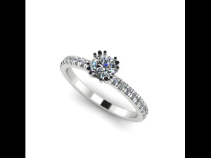 65 Engagement ring 3D Print Model