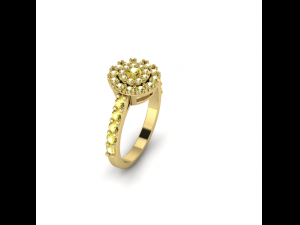 67 Ring Modello di stampa 3D