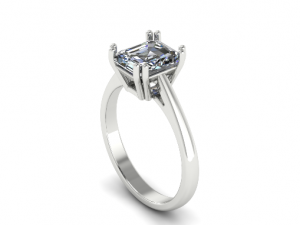 69 Ring 3D Print Model