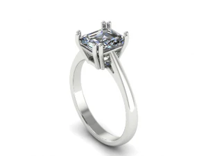 69 링 3D 프린트 모델