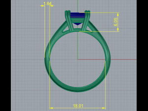 69 Ring 3Dプリントモデル