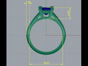 69 Ring 3D Print Model