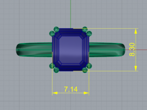 69 Ring 3Dプリントモデル