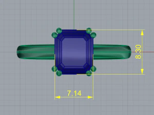 69 Ring 3D Print Model