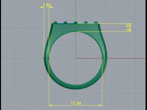 70 Ring 3D Print Model