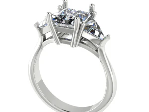 76 Female ring 3D Print Model