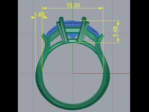 76 Female ring 3D Принт Модель