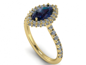 79 Female ring 3D Print Model