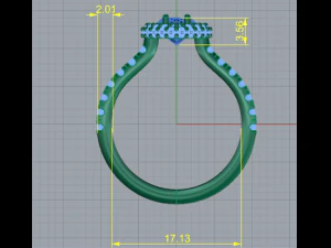 79 Female ring 3D Print Model