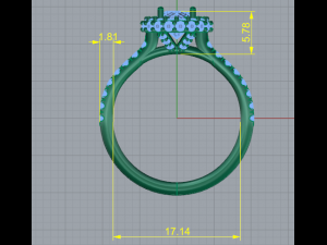 80 Female ring 3D Print Model