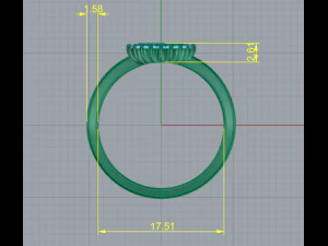 89 Female ring 3D Print Model
