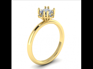 97 Female ring 3D Print Model