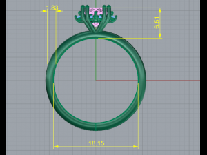 97 Female ring Modelo de Impressão 3D