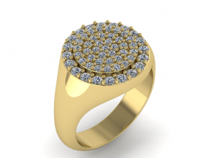 102 Ring 3Dプリントモデル