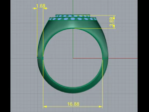 102 Ring 3D Print Model
