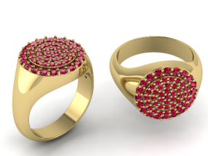 102 Ring 3D Print Model