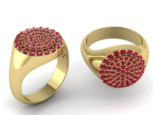 102 Ring 3D Print Model