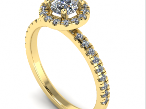 111 Female ring Modello di stampa 3D