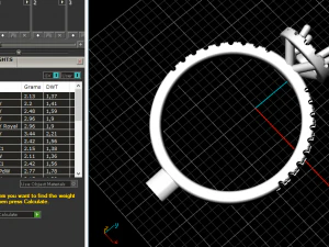 111 Female ring 3D Print Model