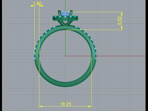 111 Female ring Modello di stampa 3D