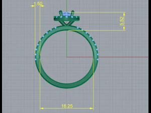 111 Female ring 3D Print Model