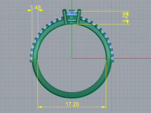 114 Ring 3D 프린트 모델