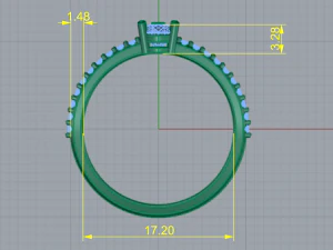 114 Ring 3D Print Model