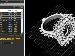 116 Female ring 3Dプリントモデル